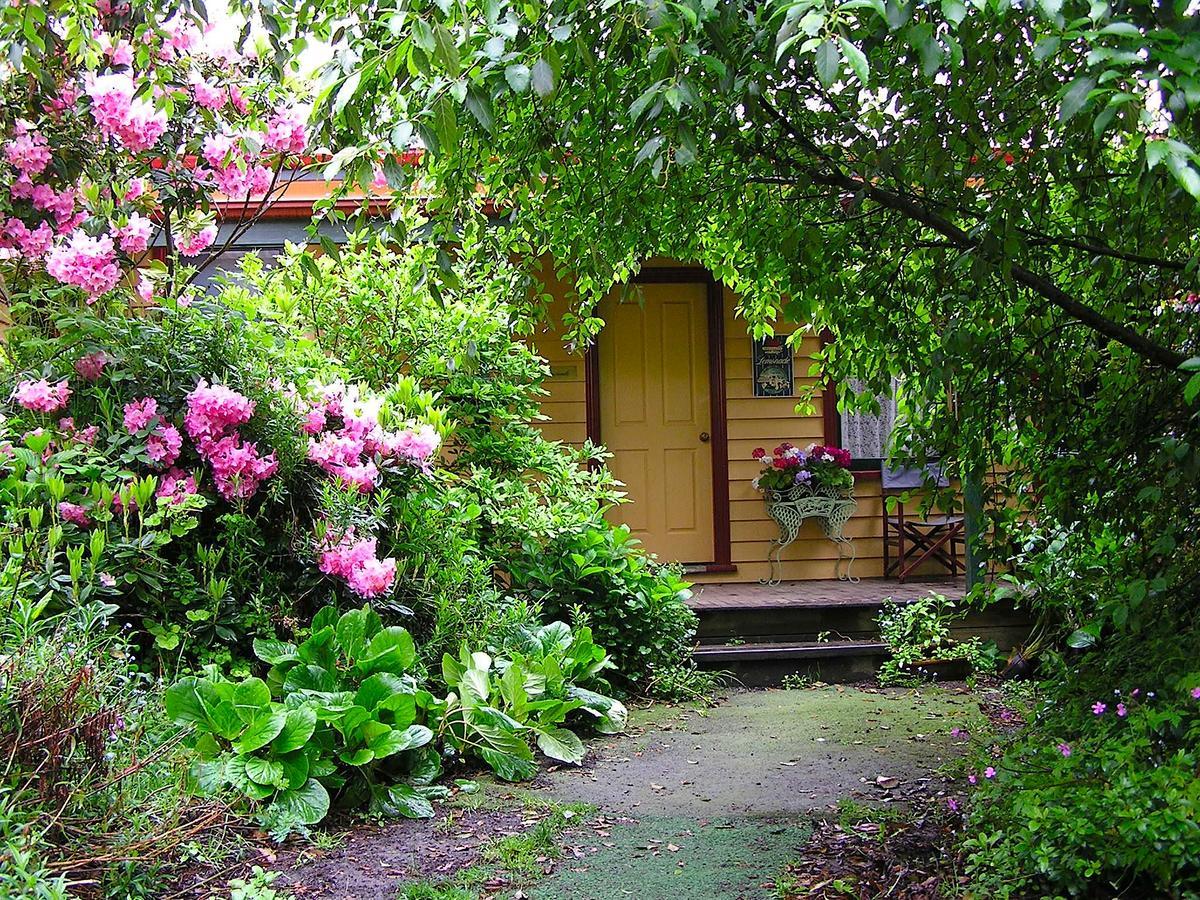 Lemonade Creek Cottages Lorne Zewnętrze zdjęcie