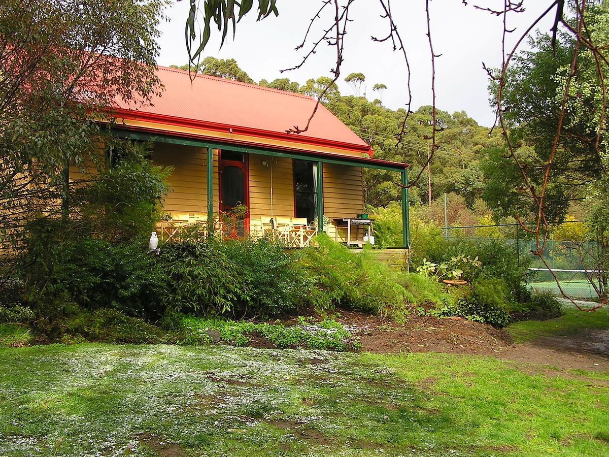 Lemonade Creek Cottages Lorne Zewnętrze zdjęcie