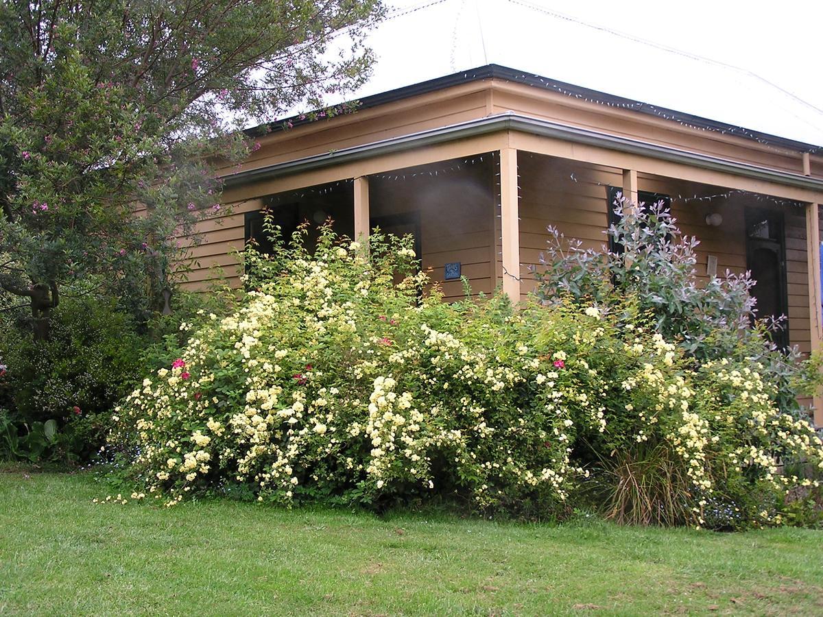 Lemonade Creek Cottages Lorne Zewnętrze zdjęcie